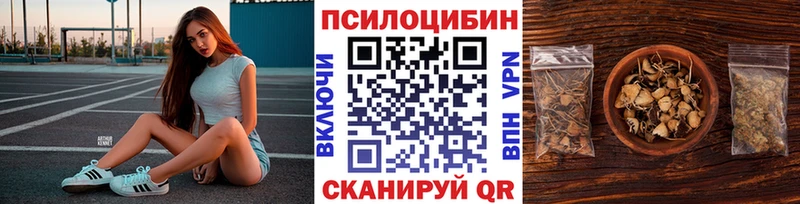 закладка  Ачинск  Галлюциногенные грибы прущие грибы 